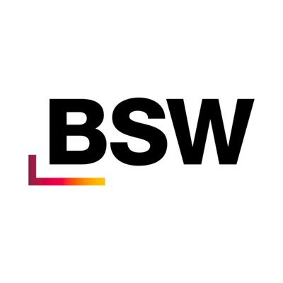 BSWbund's profile picture