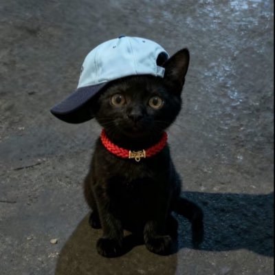 Kiorawdxx's profile picture
