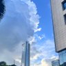 以太疯's profile picture