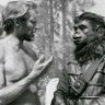 Homo Sapiens 的头像