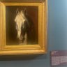 Profilbild von Horsey