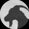 💛🕷️'s profile picture
