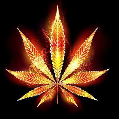 ChristaLoo35967's profile picture