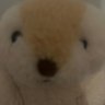 Profilbild von たぴまる