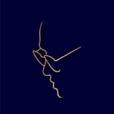 chandargondvi's profile picture