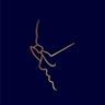 Chandra Prakash Gondvi (चन्द्र प्रकाश गोंडवी)'s profile picture