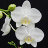 Фото профиля Nurhartini Suhail