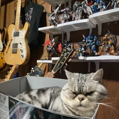 kanmaxman's profile picture