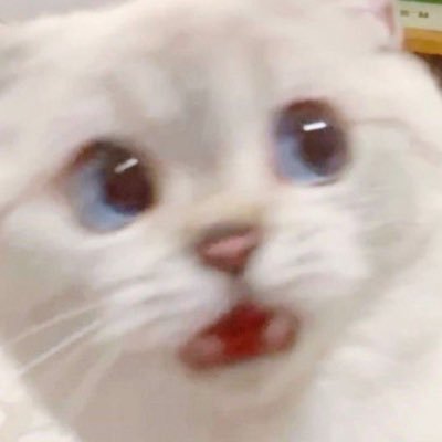 มฟ's profile picture