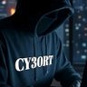 cy30rt 的头像