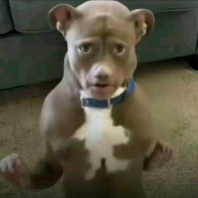 MikeMikeBla's profile picture