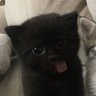 Паула's profile picture