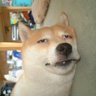 Jimmy Lin's profile picture