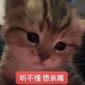 丁晨's profile picture