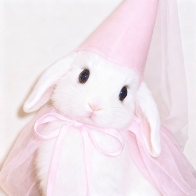 一个小点点's profile picture
