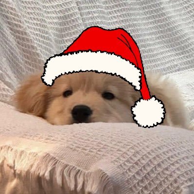 เปี๊ยก 🎄's profile picture