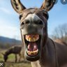 Jackass Sports profil fotoğrafı