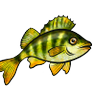 perch's profile picture