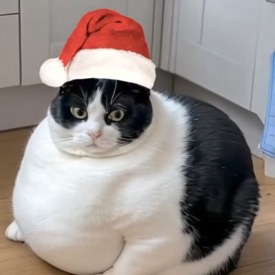 68Soon's profile picture