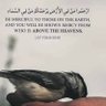 Bawa musa @spurprotocal profil fotoğrafı