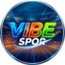 Vibe Spor 的头像