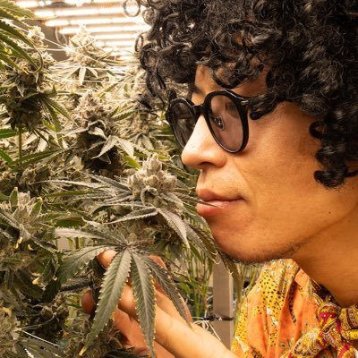 pp_ken_81's profile picture