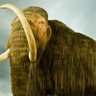 Paul Moore's profile picture