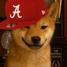 SHB's profile picture