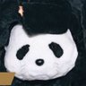 りりー 的头像