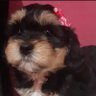 ANNETTE. LA ANY. profil fotoğrafı