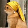 山田橙's profile picture