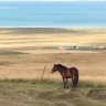 jerryjiu's profile picture