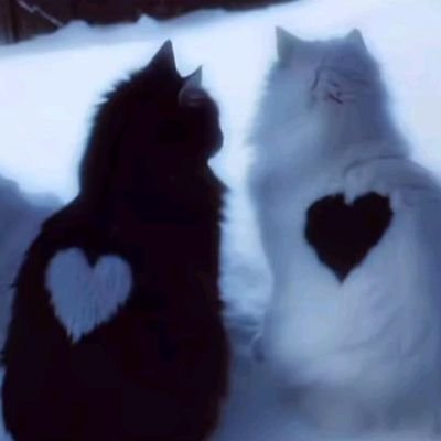 me & who's profile picture