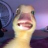 Profilbild von hi, it's Alyssa