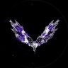 Dante Sofino's profile picture