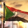 Dr. Noha🇸🇩's profile picture