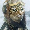 Denny McClain's profile picture