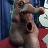 Profilbild von jamarcus cousins the third