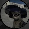 BlackSatoshi 📊's profile picture