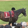 ドンドン競馬 profil fotoğrafı