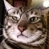 Wan's profile picture