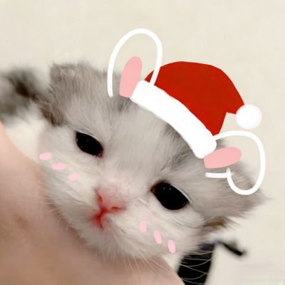 TSUKI_TTKAWA's profile picture