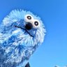 きんちょ's profile picture