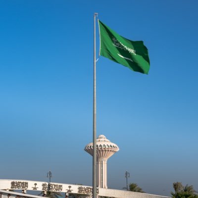 turkvii's profile picture