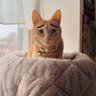 みん's profile picture