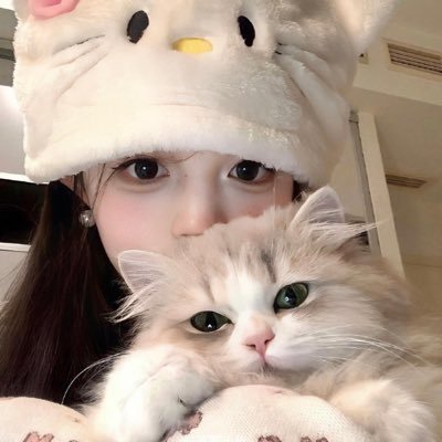 兔宝宝's profile picture