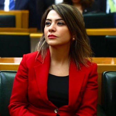 Gamze Şengel TAŞCIER's profile picture