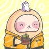 Profilbild von 0xCrypus