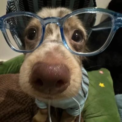 爆爆's profile picture