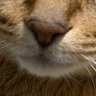 だん's profile picture